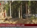 ENAM PENAMBANG EMAS LIAR DI SAROLANGUN DITANGKAP