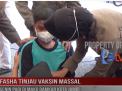 FASHA TINJAU VAKSIN MASSAL