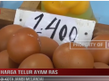 HARGA TELUR AYAM RAS DI KOTA JAMBI MELANDAI