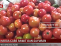 HARGA CABE RAWIT DAN SAYURAN MERANGKAK NAIK