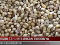 PERAJIN TAHU KELUHKAN TINGGINYA HARGA KACANG KEDELAI