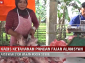 KADIS KETAHANAN PANGAN FAJAR ALAMSYAH PASTIKAN STOK BAHAN POKOK STABIL