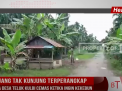 BERUANG TAK KUNJUNG TERPERANGKAP,WARGA DESA TELUK KULBI CEMAS KETIKA INGIN KEKEBUN