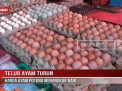 TELUR AYAM TURUN,HARGA AYAM POTONG MERANGKAK NAIK