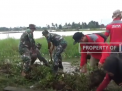 CEGAH BANJIR, TUMBUHAN ECENG GONDOK DI DANAU TELUK DIBERSIHKAN