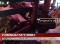 PERMINTAAN SAPI QURBAN DI KERINCI MENINGKAT JELANG HARI RAYA IDUL ADHA