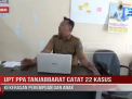 UPT PPA TANJABBARAT CATAT 22 KASUS KEKERASAN PEREMPUAN DAN ANAK