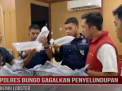 POLRES BUNGO GAGALKAN PENYELUNDUPAN BENIH LOBSTER