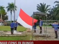 PELAMAR CPNS DI BUNGO MENCAPAI 1342 ORANG