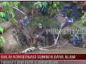 BALAI KONSERVASI SUMBER DAYA ALAM TANGKAP 2 EKOR BUAYA DI SUNGAI GELAM