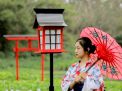 Destinasi Wisata Jepang yang Wajib Dikunjungi