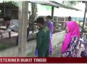 VETERINER BUKIT TINGGI UJI SAMPEL PENYAKIT HEWAN DI KOTA JAMBI