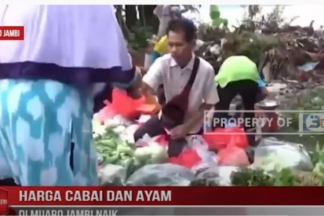 HARGA CABAI DAN AYAM DI MUARO JAMBI NAIK