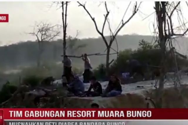 TIM GABUNGAN RESORT MUARA BUNGO MUSNAHKAN PETI DIAREA BANDARA BUNGO