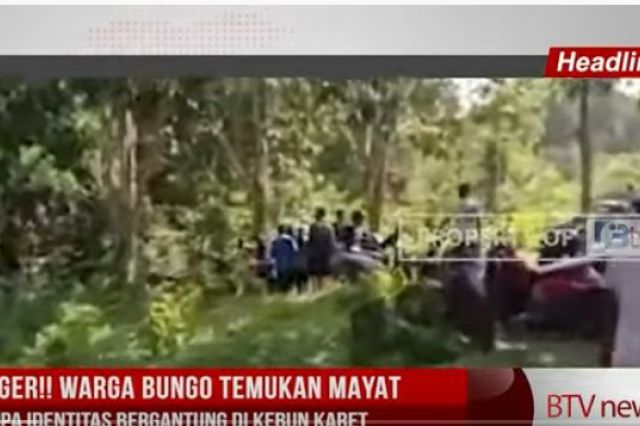 GEGER !! WARGA BUNGO TEMUKAN MAYAT TANPA IDENTITAS BERGANTUNG DI KEBUN KARET