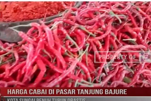 HARGA CABAI DI PASAR TANJUNG BAJURE KOTA SUNGAI PENUH TURUN DRASTIS