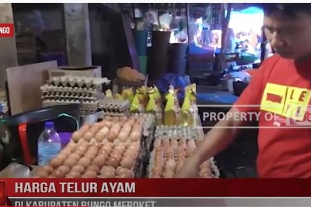 HARGA TELUR AYAM DI KABUPATEN BUNGO MEROKET