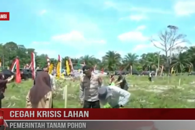 CEGAH KRISIS LAHAN, PEMERINTAH TANAM POHON