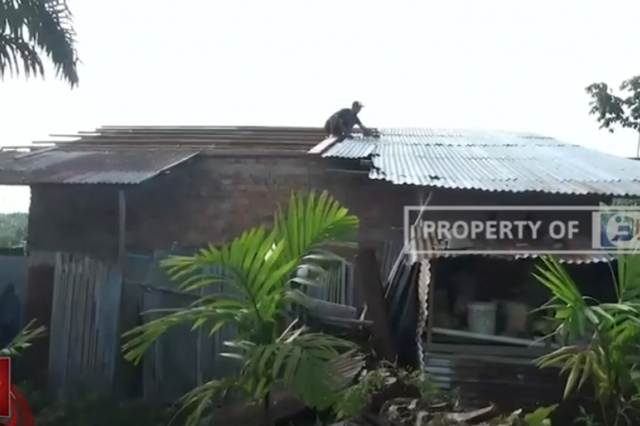 ANGIN PUTING BELIUNG MENERJANG, ATAP RUMAH WARGA DI ALAM BARAJO RUSAK