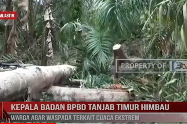 KEPALA BADAN BPBD TANJAB TIMUR HIMBAU WARGA AGAR WASPADA TERKAIT CUACA EKSTREM