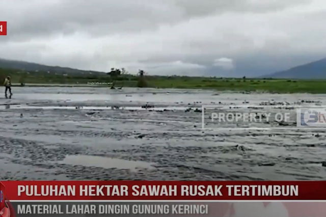 PULUHAN HEKTAR SAWAH RUSAK TERTIMBUN MATERIAL LAHAR DINGIN GUNUNG KERINCI