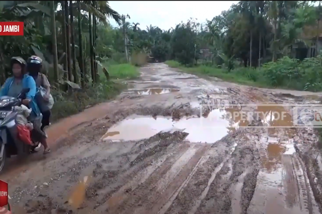 KURANGNYA PERHATIAN, JALAN POROS KABUPATEN HANCUR DIPENUHI LUBANG BAK KUBANGAN KERBAU