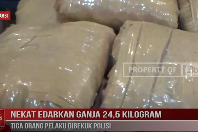 NEKAT EDARKAN GANJA 24,5 KILOGRAM, TIGA ORANG PELAKU DIBEKUK POLISI