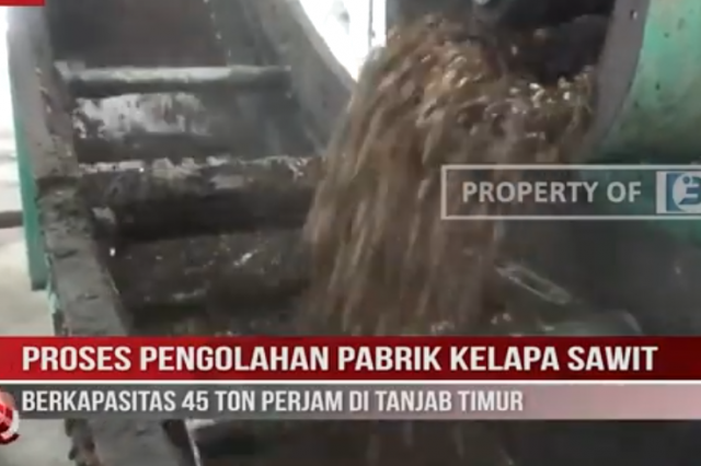 PROSES PENGOLAHAN PABRIK KELAPA SAWIT BERKAPASITAS 45 TON PERJAM DI TANJAB TIMUR