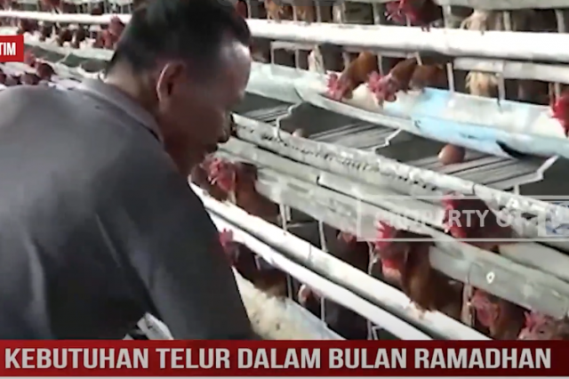 KEBUTUHAN TELUR DALAM BULAN RAMADHAN DAN JELANG IDUL FITRI TERUS KIAN MENINGKATKAN