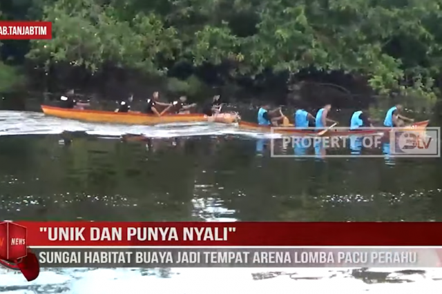 UNIK DAN PUNYA NYALI,SUNGAI HABITAT BUAYA JADI TEMPAT ARENA LOMBA PACU PERAHU