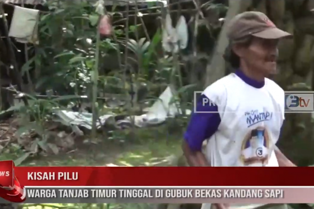 KISAH PILU, WARGA TANJAB TIMUR TINGGAL DI GUBUK BEKAS KANDANG SAPI