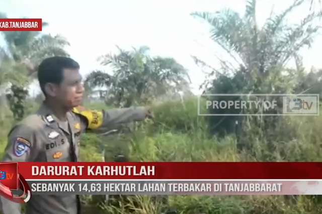 DARURAT KARHUTLAH,SEBANYAK 14,63 HEKTAR LAHAN TERBAKAR DI TANJABBARAT