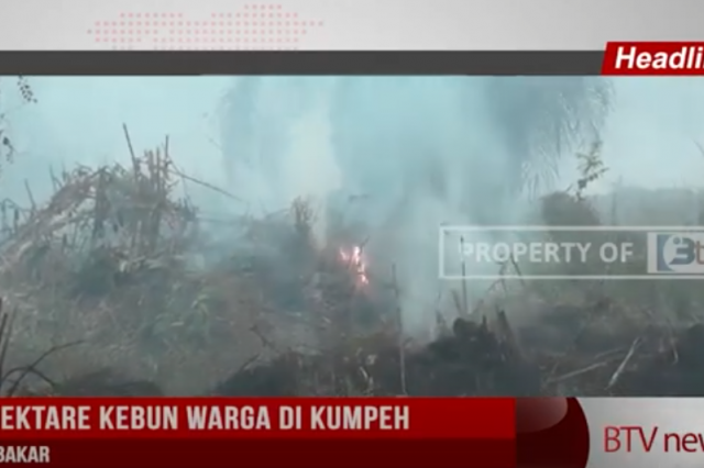 ENAM HEKTARE KEBUN WARGA DI KUMPEH LUDES TERBAKAR