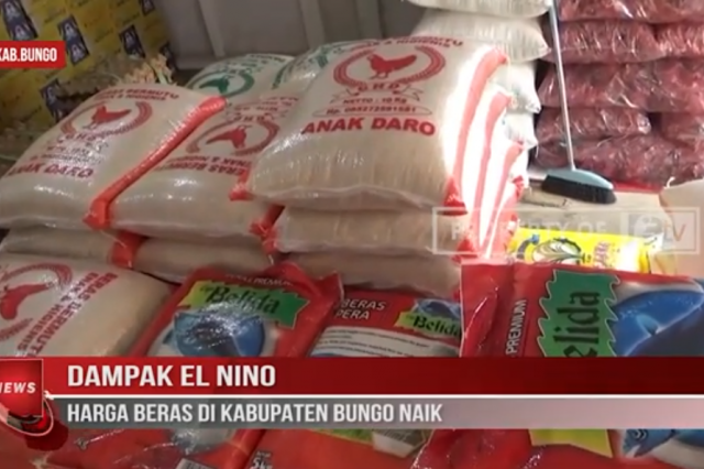 DAMPAK EL NINO, HARGA BERAS DI KABUPATEN BUNGO NAIK