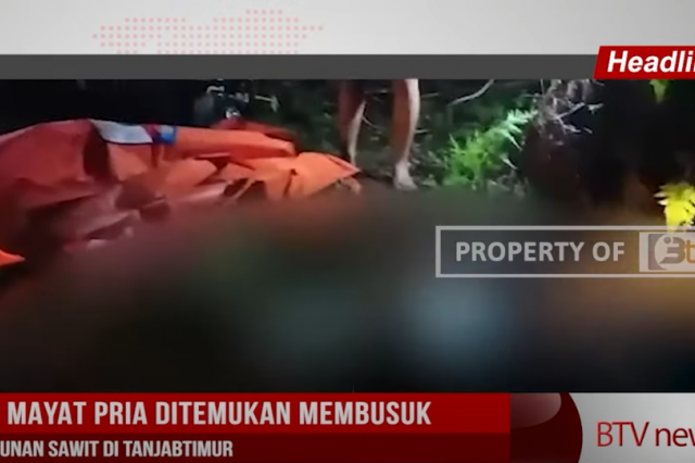 GEGER! M4Y4T PRIA DITEMUKAN MEMBUSUK DI PERKEBUNAN SAWIT DI TANJABTIMUR