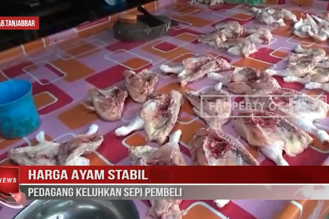 HARGA AYAM STABIL, PEDAGANG KELUHKAN SEPI PEMBELI