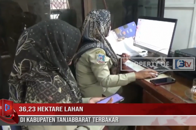 36,23 HEKTARE LAHAN DI KABUPATEN TANJABBARAT TERBAKAR