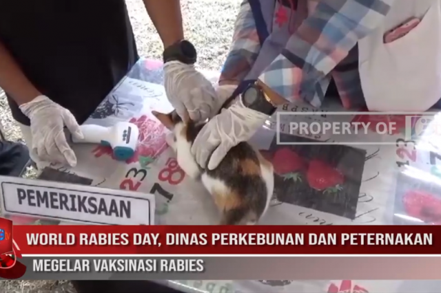 WORLD RABIES DAY, DINAS PERKEBUNAN DAN PETERNAKAN MEGELAR VAKSINASI RABIES