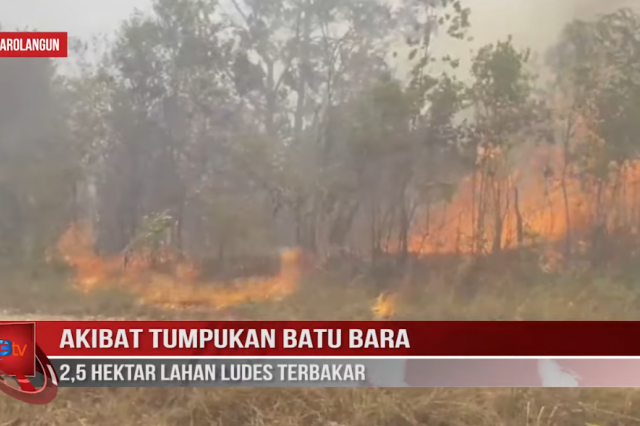 AKIBAT TUMPUKAN BATU BARA, 2,5 HEKTAR LAHAN LUDES TERBAKAR