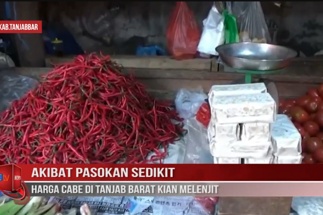 AKIBAT PASOKAN SEDIKIT, HARGA CABE DI TANJAB BARAT KIAN MELENJIT