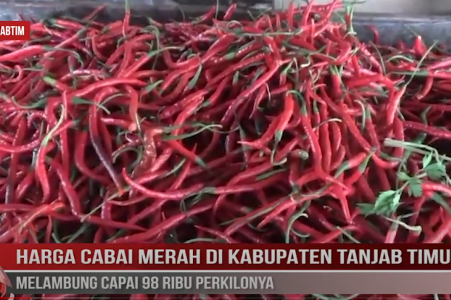 HARGA CABAI MERAH DI KABUPATEN TANJAB TIMUR MELAMBUNG CAPAI 98 RIBU PERKILONYA