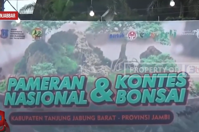 MENELISIK KESERUAN PAMERAN KONTES BONSAI , SATU BONGSAI YANG DI KONTESKAN MENCAPAI 200 JUTA RUPIAH