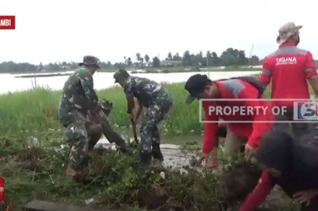 CEGAH BANJIR, TUMBUHAN ECENG GONDOK DI DANAU TELUK DIBERSIHKAN