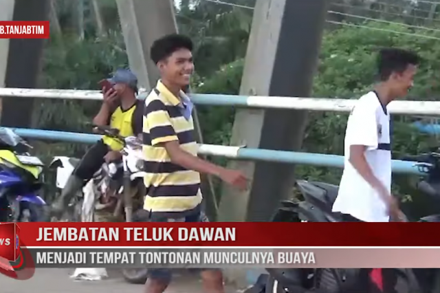 JEMBATAN TELUK DAWAN MENJADI TEMPAT TONTONAN MUNCULNYA BUAYA