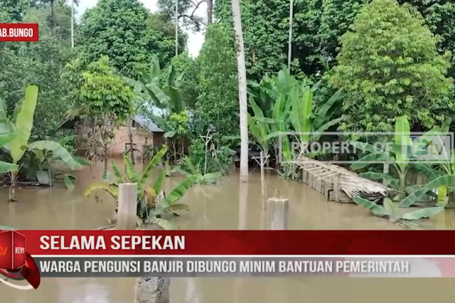 SELAMA SEPEKAN, WARGA PENGUNSI BANJIR DIBUNGO MINIM BANTUAN PEMERINTAH