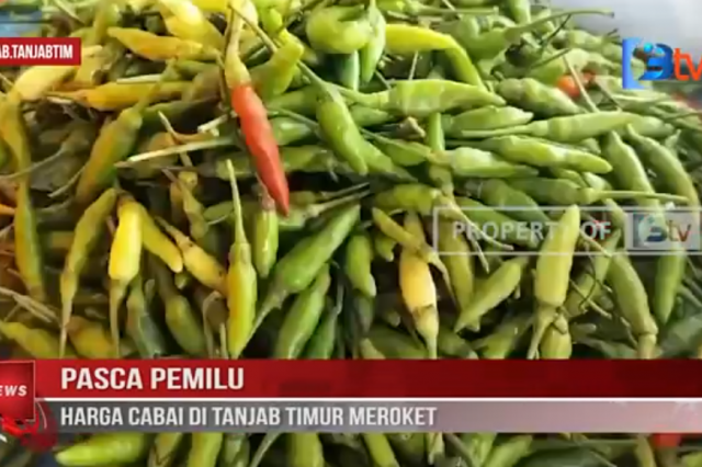 PASCA PEMILU, HARGA CABAI DI TANJAB TIMUR MEROKET