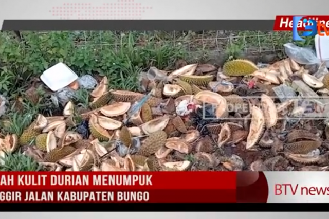 SAMPAH KULIT DURIAN MENUMPUK DI PINGGIR JALAN KABUPATEN BUNGO