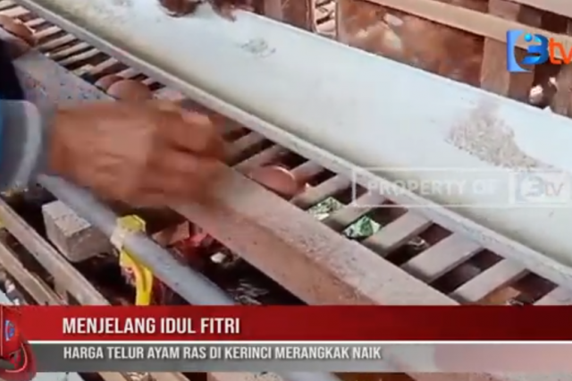 MENJELANG IDUL FITRI, HARGA TELUR AYAM RAS DI KERINCI MERANGKAK NAIK