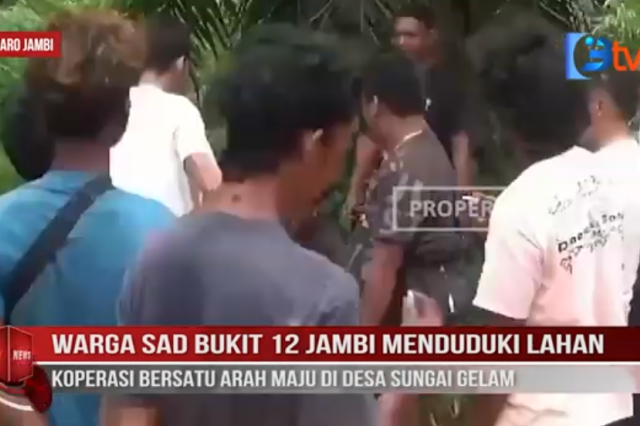 WARGA SAD BUKIT 12 JAMBI MENDUDUKI LAHAN KOPERASI BERSATU ARAH MAJU DI DESA SUNGAI GELAM