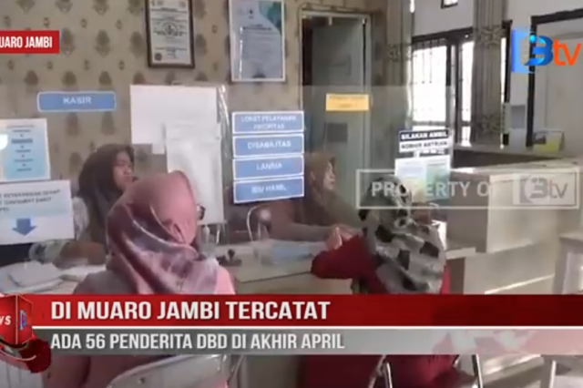 DI MUARO JAMBI TERCATAT ADA 56 PENDERITA DBD DI AKHIR APRIL